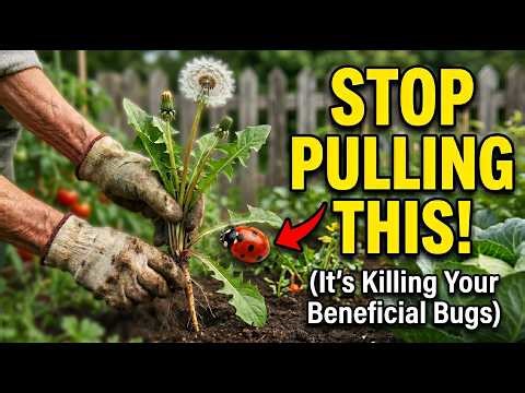 Stop Pulling These 6 Weeds! (They're Saving Your Garden)