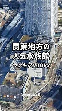 関東地方の人気水族館ランキングTOP5#雑学#知識#ランキング