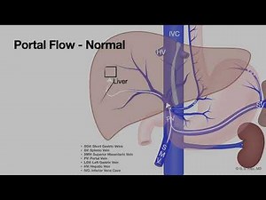 2025 ASGE Endoscopy Tech Course - A - Esophagus
