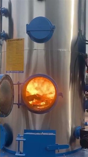 Vertical Fire Tube Biomass/Coal Steam Generator #boiler #machine #steamboiler