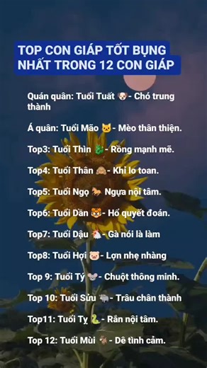 Top 12 Most Popular Songs in Vietnam: A Serene Showcase