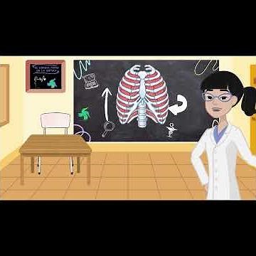 Formas de #respiración