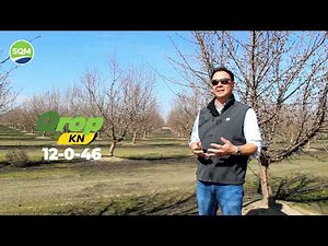 Field Applied Potassium Sulfate vs. Potassium Nitrate