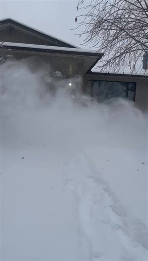 Leaves or Snow - Bring It On! 🍂❄️ The ECHO PB-9010 packs serious power to dominate fall cleanup, and here’s the bonus: it tackles winter snow like a pro. One tool. Year-round performance. Endless possibilities. Stop in today and experience the power! | Mitchell Cycle