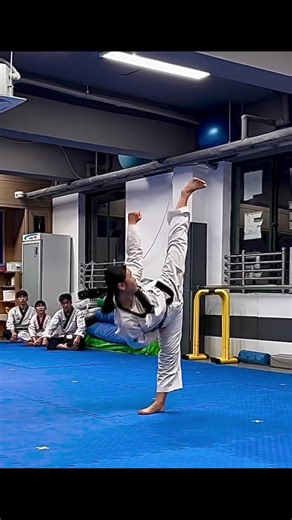Master Taekwondo Poomsae Forms for High Performance