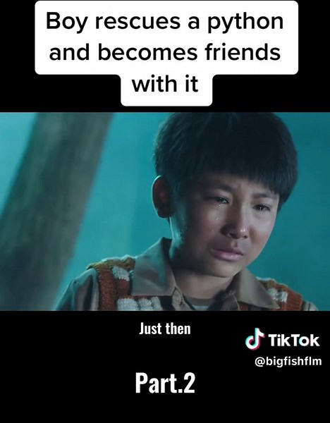 Part2 Boy rescues a python and becomes friends with it #python #film #fyp