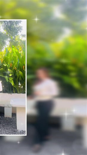 #မဂ်လာနံနက်ခင်း​လေးပါချစ်​သော​လေးတို့​ရေ🥰🥰🥰🥰🥰