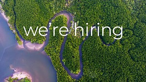 About | Ecosecurities