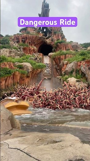 Japan Disneyland Thrilling & Dangerous Water Ride | Must-Try Adventure