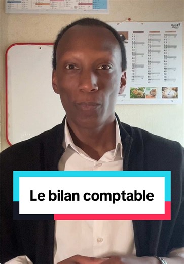 Comprendre le Bilan Comptable : Actif et Passif