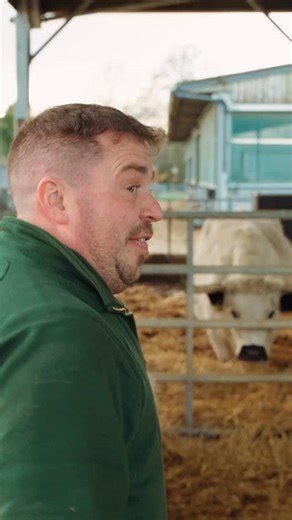 Meet the cutest new residents on the farm 🐑 These rare and much-loved Valais Blacknose sheep have clearly been raised well at @cannonhallfarm and they’re settling in famously on the farm. With their teddy-bear faces and fluffy coats, they’re already stealing hearts. You’ll be able to see them up close during our Lambing event, so if you need an extra reason to book… this is it. Tickets are on sale now! | Cotswold Farm Park