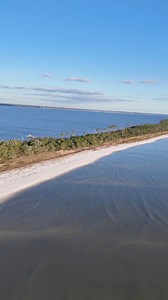 More video footage from Deer Island in Biloxi, Mississippi🦌🏝️ | Sips Tea Mississippi