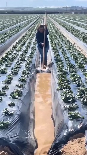 Engaging Agricultural and Construction Activities