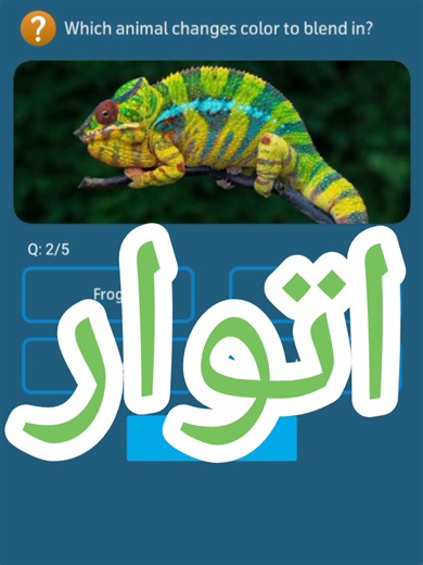 15 March 2026 Today My Telenor Apps Question and Answer 💡 #ViralVideo #QuizTime #Knowledge #QuizChallege #LearnOnTikTok