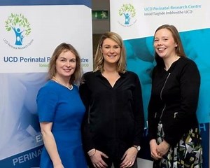 Congratulations to Prof Fionnuala McAuliffe and her team on the very successful launch of the UCD Perinatal Research Centre. The Centre, based at the National Maternity Hospital, Holles Street coordinates national and international collaborative research in maternal health and its impact on maternal and infant outcomes. http://www.ucd.ie/medicine/news/march2018/title,403707,en.html | UCD School of Medicine