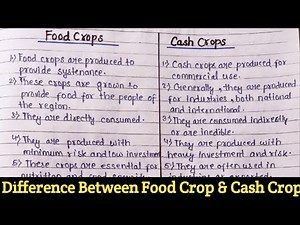 Food Crop Vs Cash Crop | Difference Between Food Crop & Cash Crop | Compare Between Food & Cash Crop