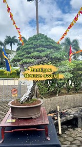 Asymmetry: An emphasis on balance through asymmetry, rather than perfect symmetry #bonsai | Romeo Antipuesto Jr