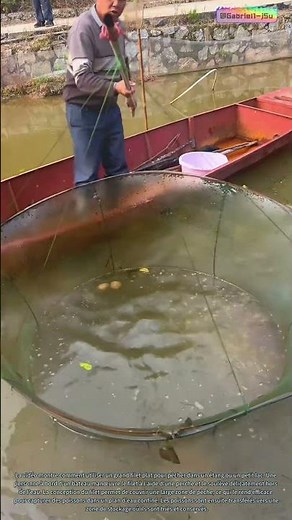 L'art de la pêche : la technique du filet à levée