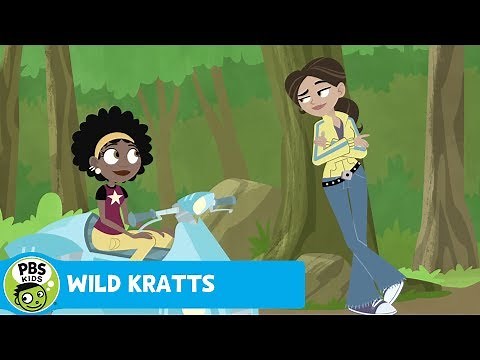 WILD KRATTS | Case of the Mystery Hole | PBS KIDS