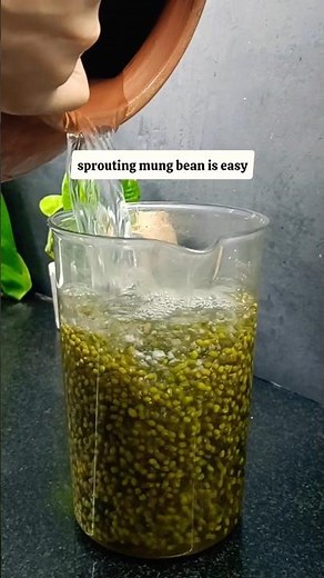 tips and tricks episode 110: Sprouting mung bean in 1 day #shortsfeed