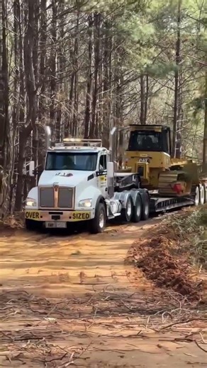 Kenworth T880 day cab heavy haul hauling a CAT Bulldozer