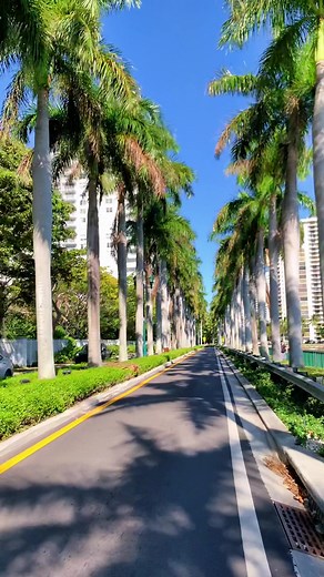 Exploring Williams Island in Aventura, Florida