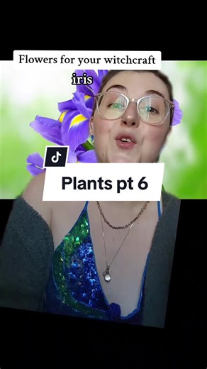 Flower and root! Do you use this? #greenwitch #greenwitchcraft #witch #spells #witchy #magicktok #Magick #witchtok #witchcraft #halloween #samhain