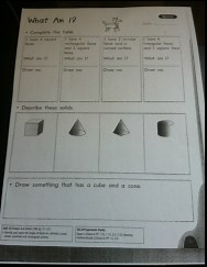 Professional Practice