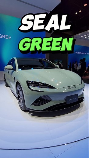 The Rise of BYD Electric Vehicles Explained
