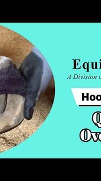 Hoof Casting - Quick Overview
