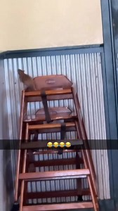 LOS FRESNOS / WINGSTOP 📍 huge rat 🐀 running around at the wingstop in Los Fresnos What would you do? 😭 Images: Estefan Perez | Brownsville HOOD News