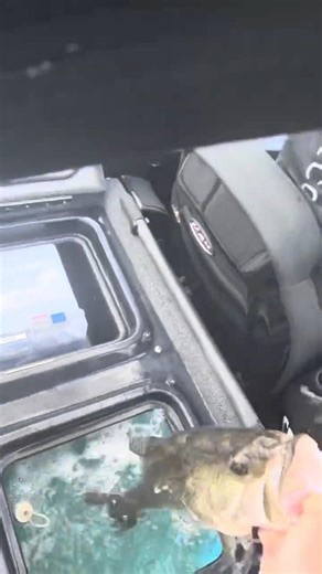 POV: Baggin up fish as a Bassmaster Elite Series angler