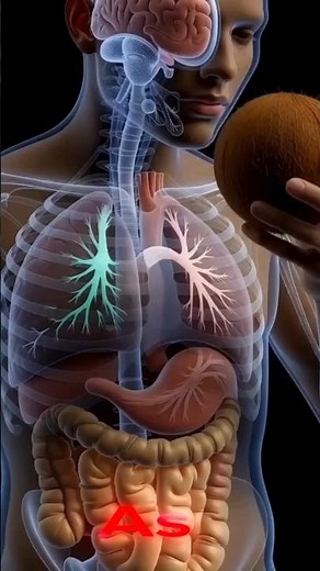 Is coconut water really healthy? Benefits and side effects (3d)