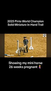 109K views · 1.1K reactions | World Champion In Hand Trail  #reelschallenge | Star Point Horsemanship | Facebook