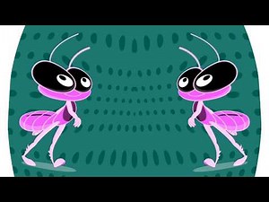 Bob Zoom Sparta Pitch Animation | Logo Effects Compilation