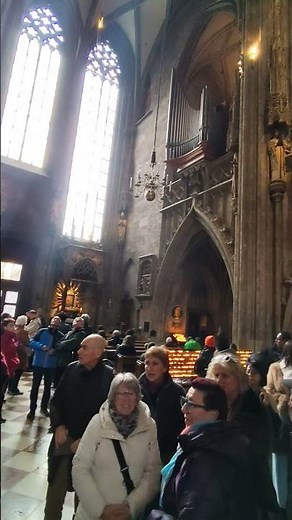 INTERIOR DE LA CATEDRAL DE SAN ESTEBAN. #viena #austria #travel #catedral #catolica #gótico #shorts