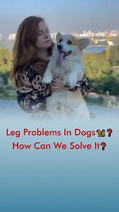 Leg Problems In Dogs 🦮❓ Ho Can We Solve It❓ | Dogs Your Friends Forever
