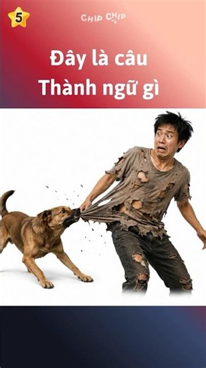 Nhìn hình này đoán ngay câu tục ngữ #shorts #caudovui #haihuoc | Phần 2