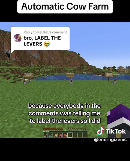 Understanding Minecraft Levers: Tips and Tricks