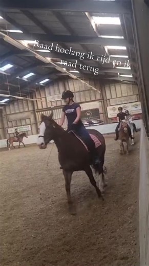 Video's van equi.cass (@equi.cass) met original sound - Brianna