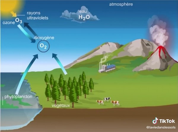Le cycle de l’oxygène par les Éditions Larousse. #oxygène #nature #cycle #environnement #larousse