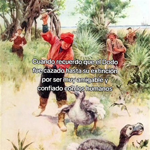 The Tragic Extinction of the Dodo Bird Explained