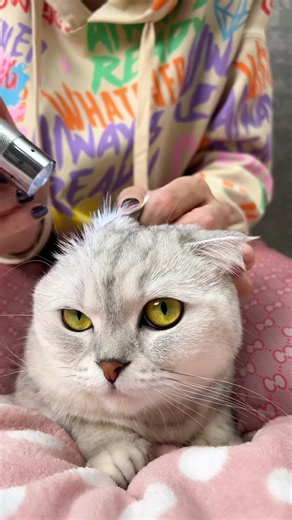 We cosplay Bethlehem from Alchemy Stars! Check the game in my bio💓#AS | Sonya-Kisa.