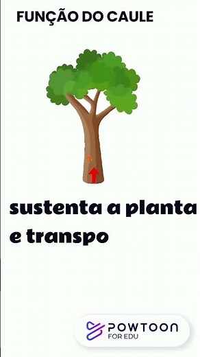 FUNÇÃO DA RAIZ