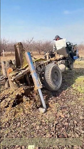 Pulling Up Roots: How Farm Ingenuity Reclaims the Land