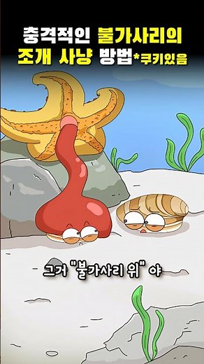 The shocking way a starfish hunts a clam