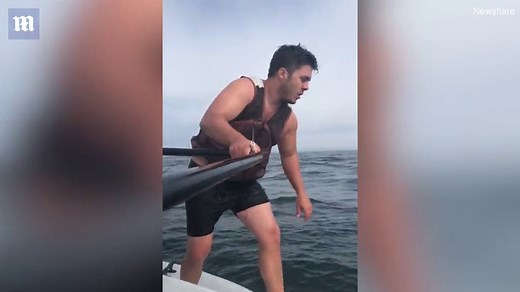 Man saves giant humpback whale during 3-hour rescue mission