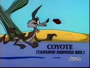 Looney Tunes - (bip bip and Coyote) WB