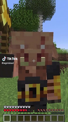 Ultimate Minecraft Armor Durability Test