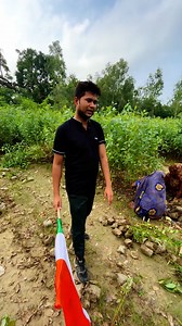 We Planting eucalyptus tree on 15 August | Trees Plants Info